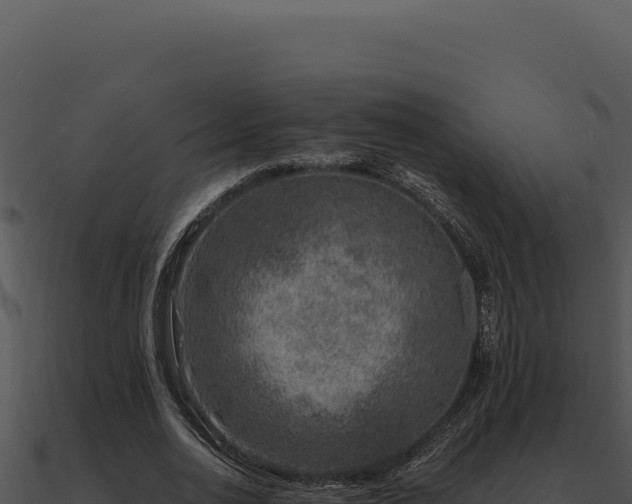 X0000091000726200708021600