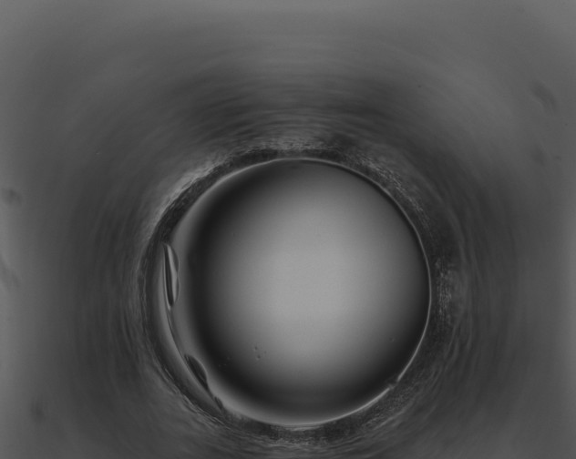 X0000091000727200708021600