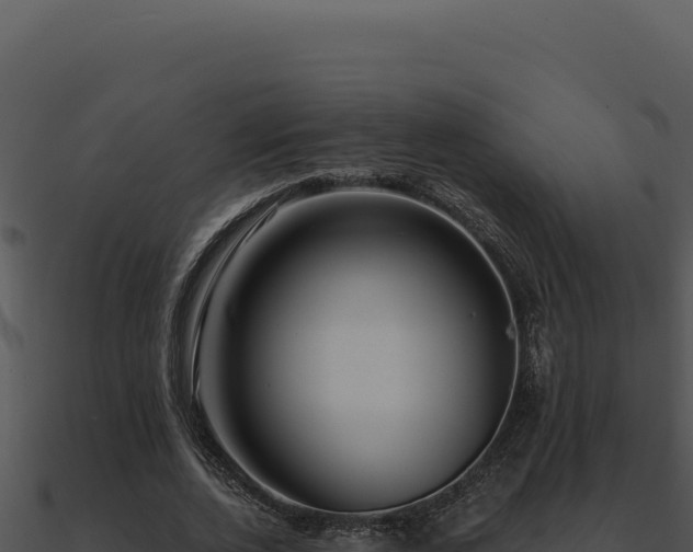 X0000091000728200708021600