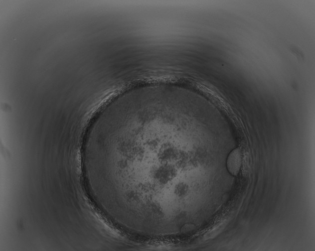 X0000091000729200708021600