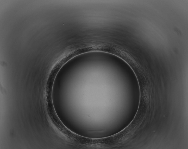 X0000091000730200708021600