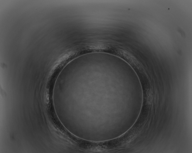 X0000091000731200708021600