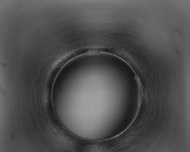 X0000091000732200708021600