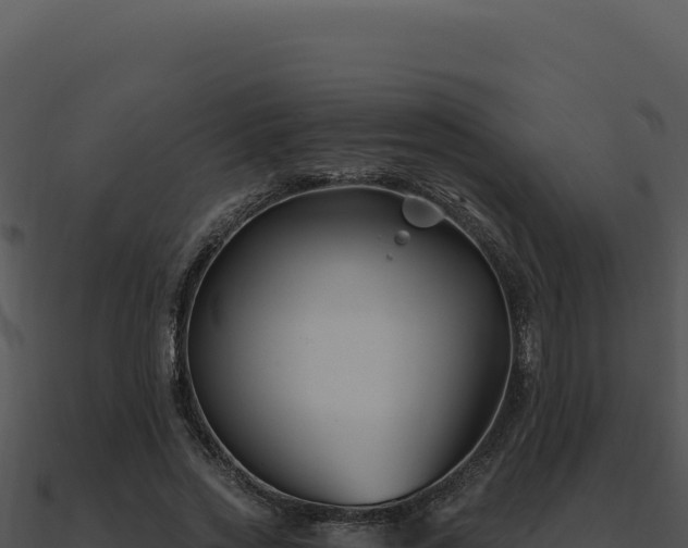 X0000091000733200708021600