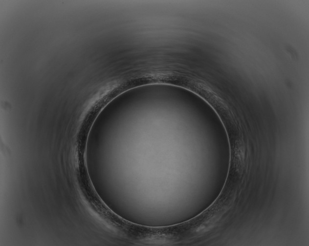X0000091000734200708021600