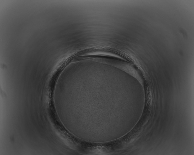 X0000091000736200708021600
