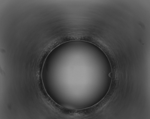 X0000091000737200708021600