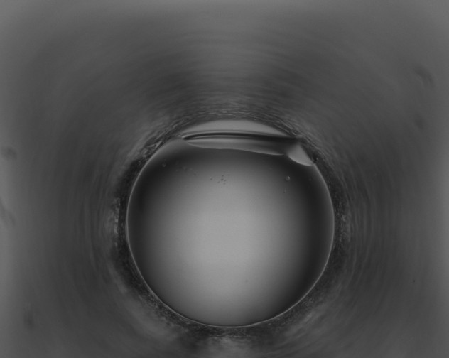 X0000091000739200708021600