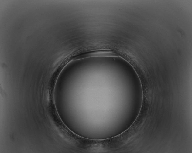 X0000091000740200708021600