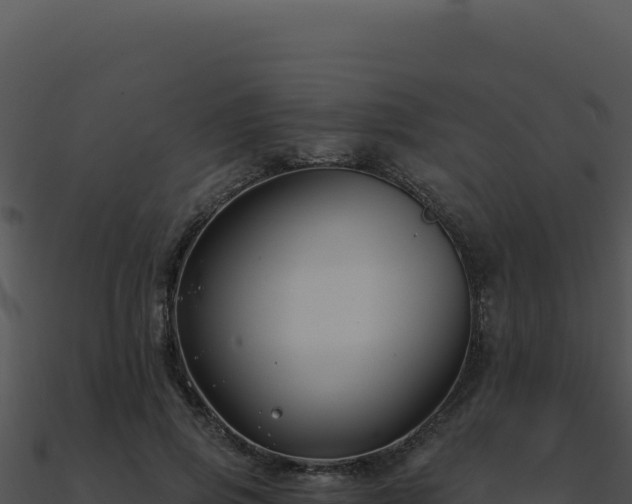X0000091000741200708021600