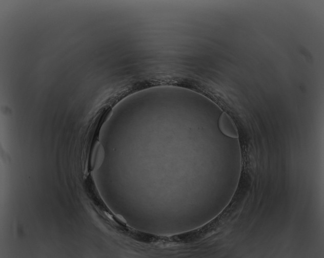 X0000091000742200708021600
