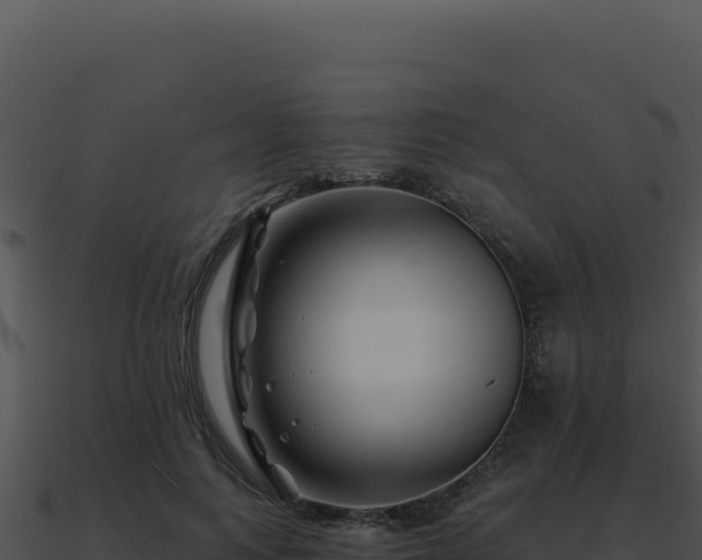 X0000091000743200708021600