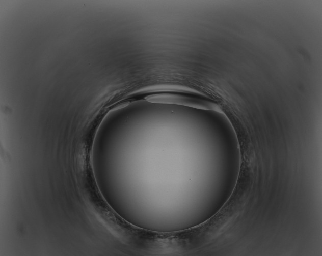 X0000091000744200708021600