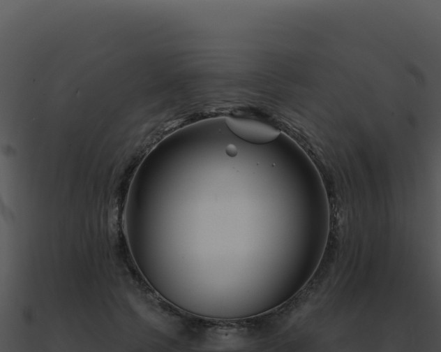 X0000091000745200708021600