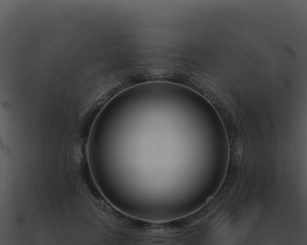 X0000091000746200708021600