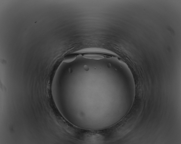 X0000091000747200708021600