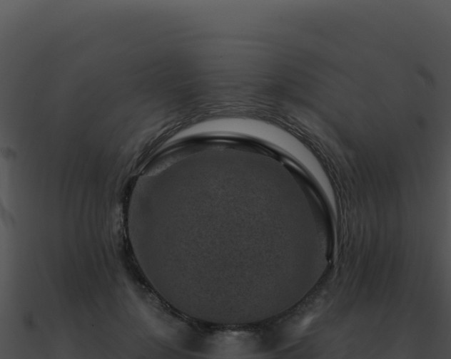 X0000091000748200708021600