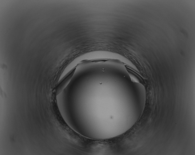 X0000091000750200708021600