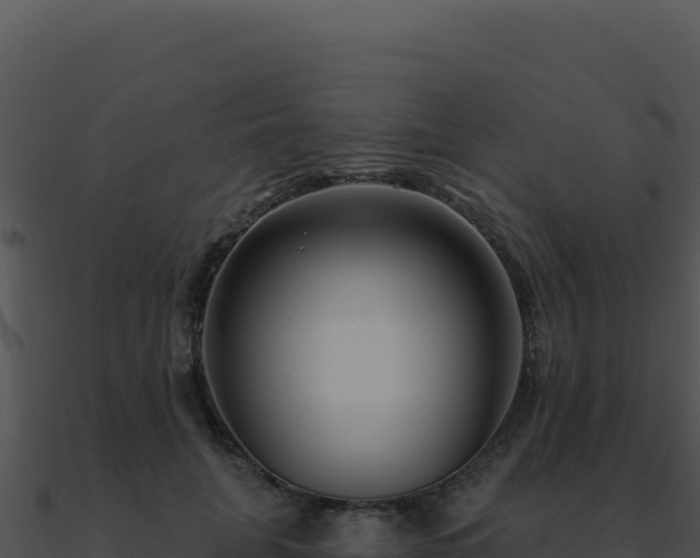 X0000091000751200708021600