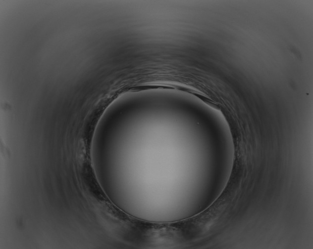 X0000091000752200708021600