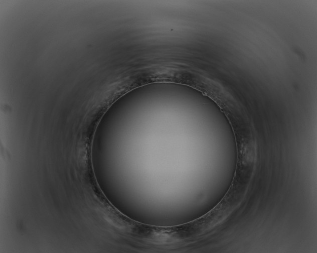 X0000091000753200708021600