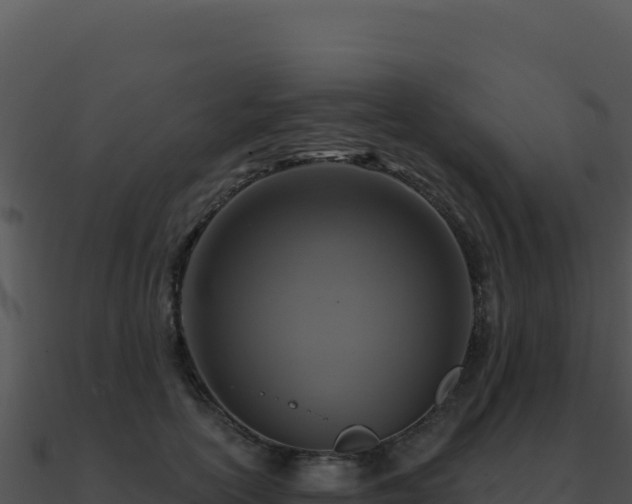 X0000091000754200708021600