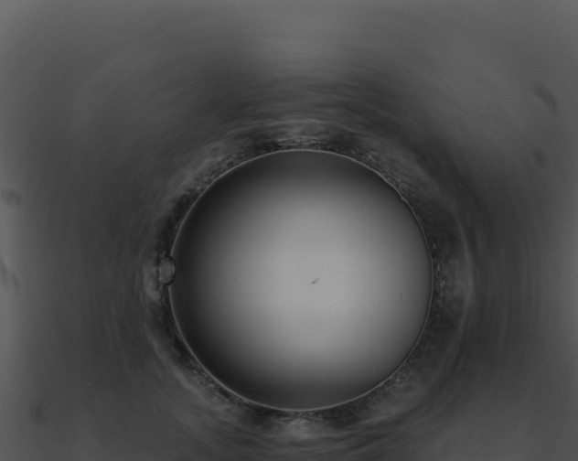 X0000091000755200708021600
