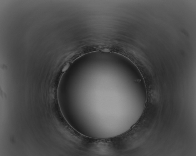 X0000091000756200708021600