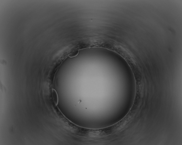 X0000091000757200708021600