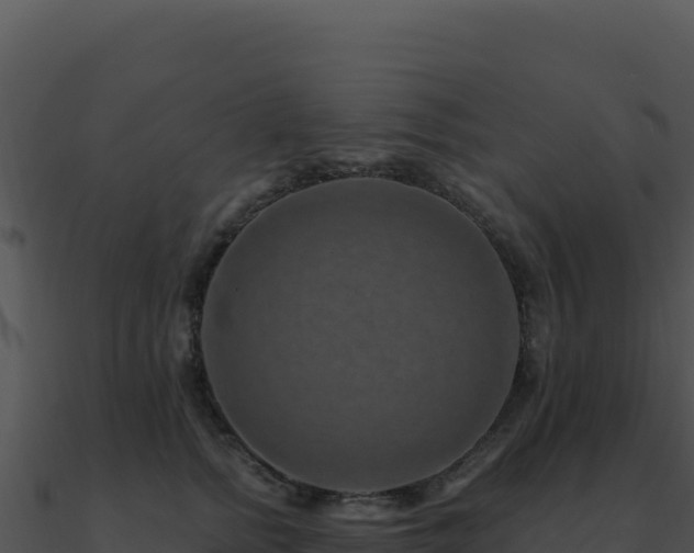 X0000091000758200708021600