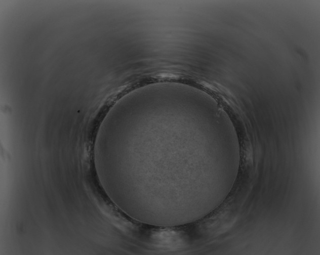 X0000091000759200708021600