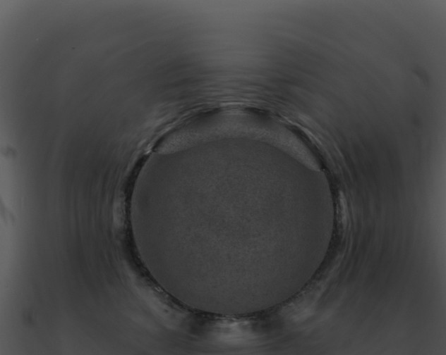 X0000091000760200708021600