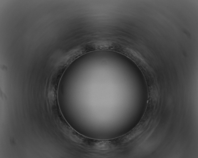 X0000091000761200708021600