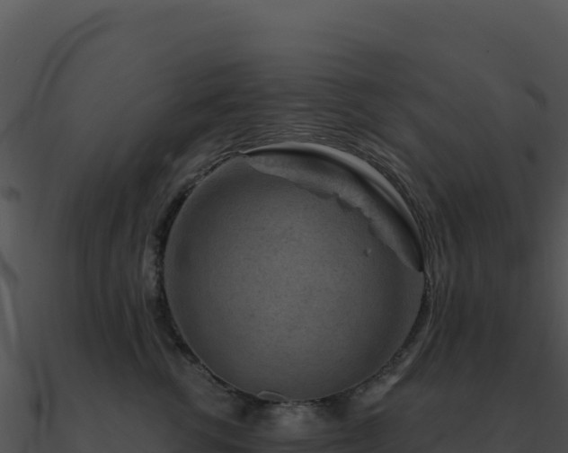 X0000091000762200708021600