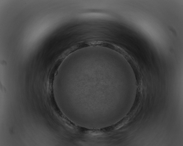X0000091000763200708021600