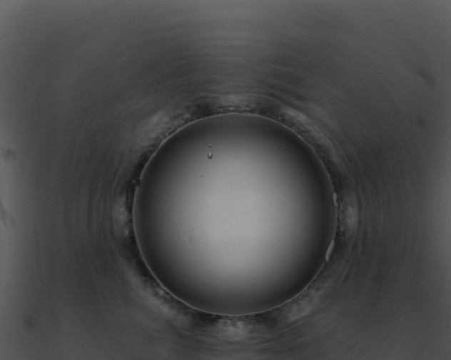 X0000091000764200708021600