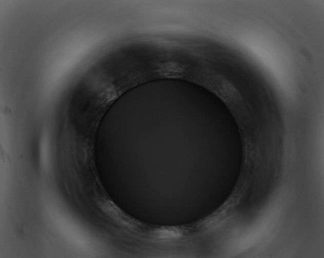 X0000091000765200708021600