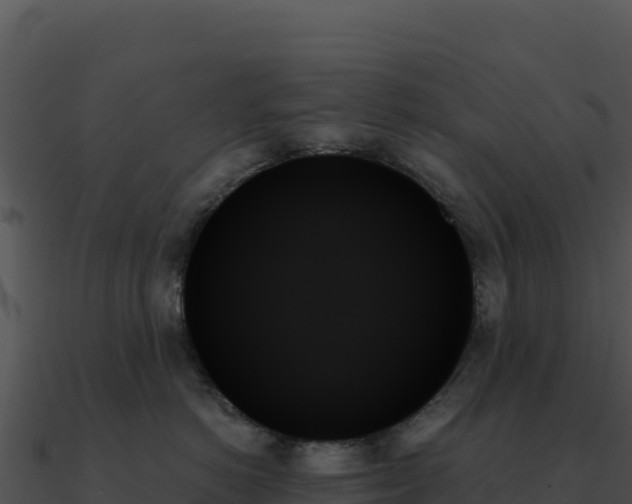 X0000091000766200708021600