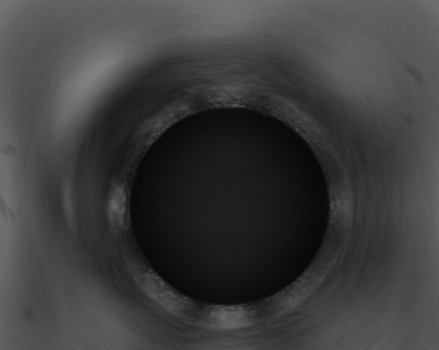 X0000091000767200708021600