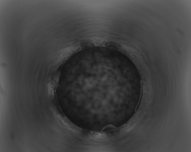 X0000091000768200708021600