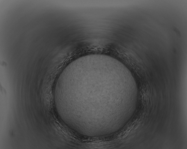X0000091000769200708021600