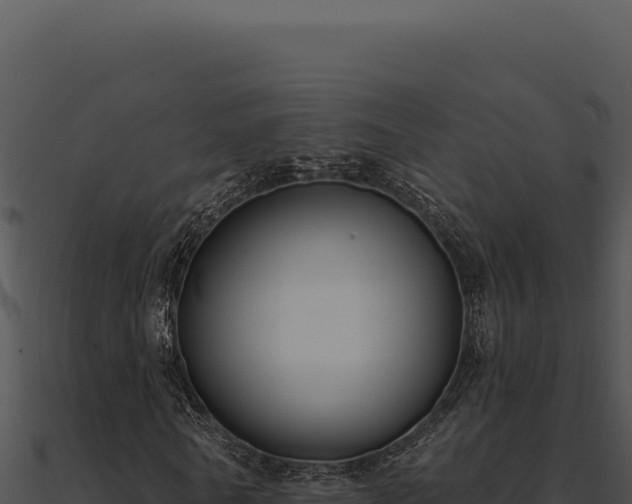 X0000091000770200708021600