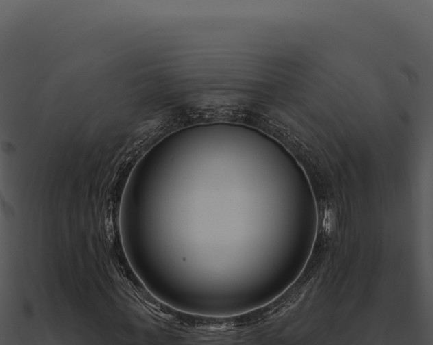 X0000091000771200708021600