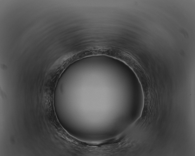 X0000091000773200708021600