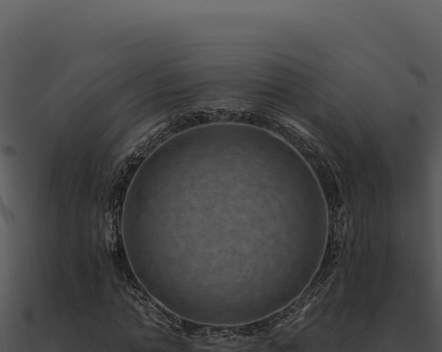 X0000091000774200708021600