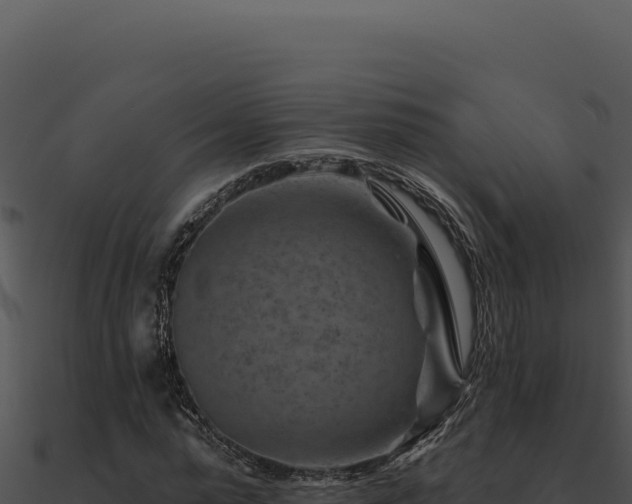 X0000091000775200708021559