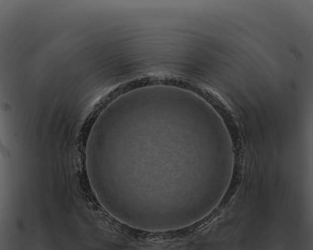 X0000091000776200708021559