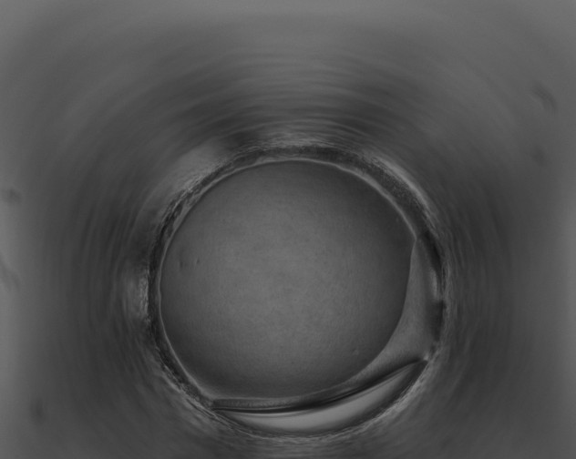 X0000091000777200708021559