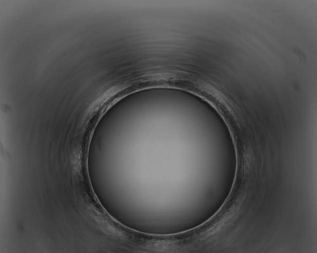 X0000091000778200708021559