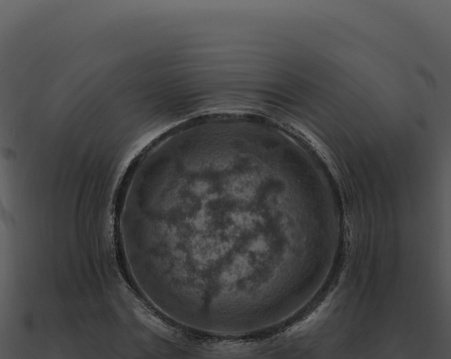 X0000091000779200708021559